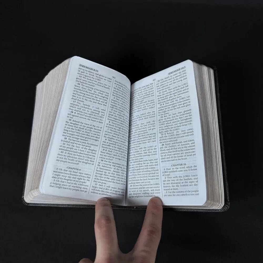 KJV The Holy Bible by James (2013, leather cover) compact
